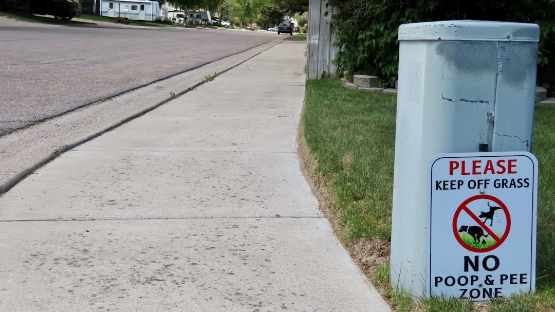 découvrez la sécurité dans le quartier de pessac : informations, conseils et actualités pour vivre sereinement.