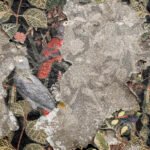 ALAQ WALL : la référence de la peinture et du papier peint au Maroc pour vos projets