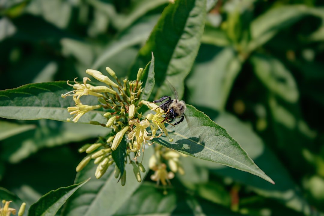 découvrez notre herbicide efficace contre les ronces, conçu pour éliminer les mauvaises herbes tout en protégeant vos cultures. idéal pour un jardin propre et sain.