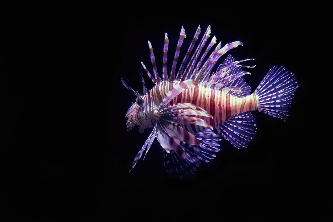 découvrez les aspects les plus risqués et captivants de la ville la plus dangereuse. explorez ses quartiers, ses défis, et comment y rester en sécurité.