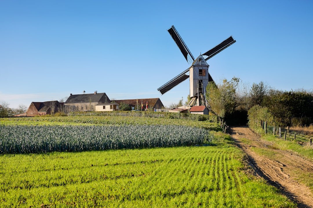 découvrez la saison du poireau : conseils de culture, recettes savoureuses et astuces pour profiter pleinement de ce légume délicieux et sain.