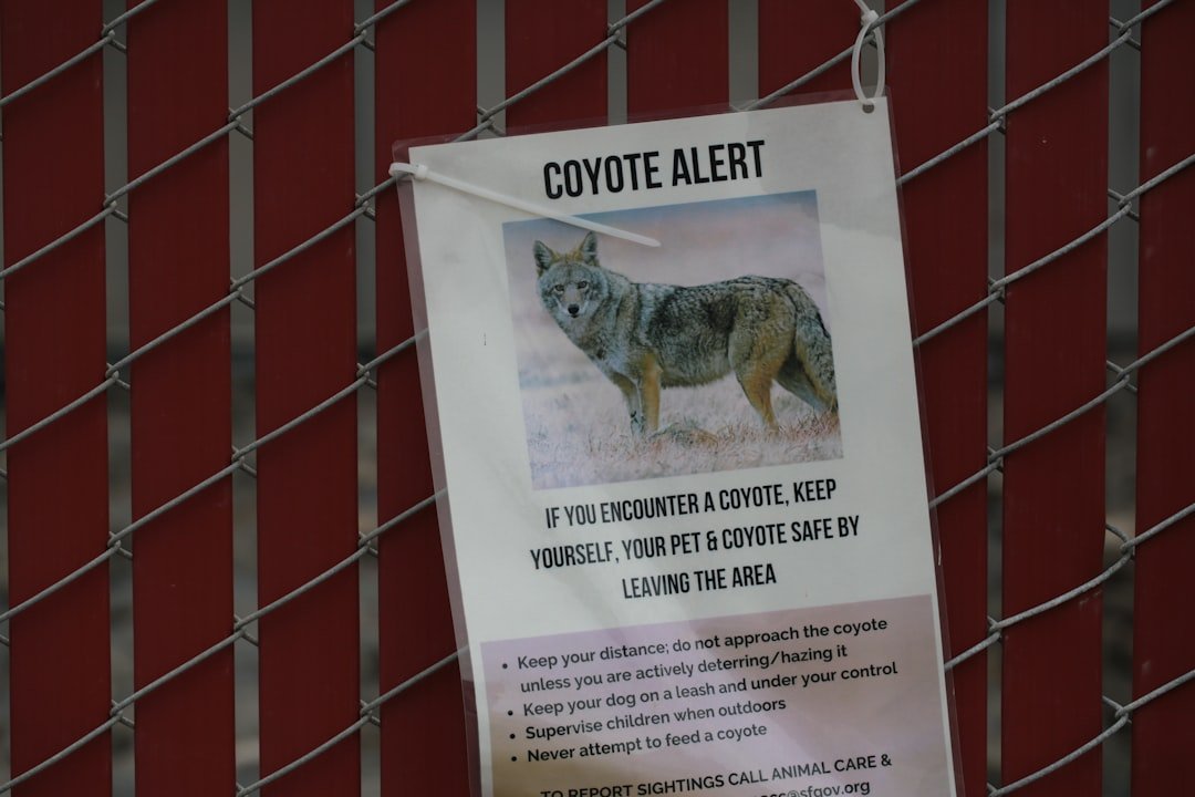 découvrez nos conseils et ressources pour améliorer la sécurité dans votre quartier et vivre en toute tranquillité.