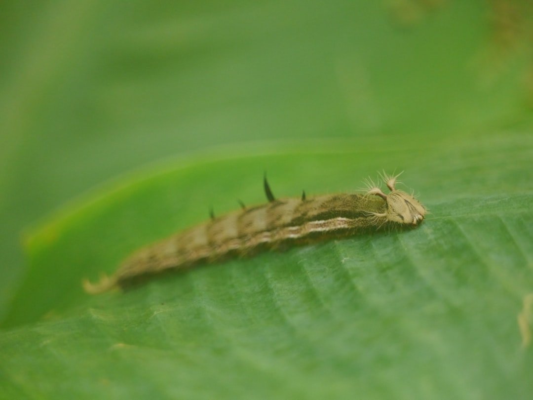 découvrez comment maîtriser parfaitement la gestion de slug pour optimiser vos url et améliorer le référencement de votre site web.